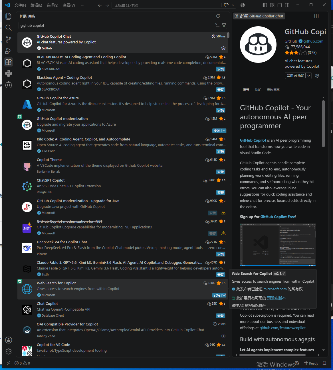 VS Code 中的 GitHub Copilot Chat 真实扩展页面