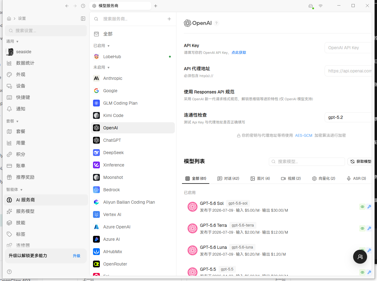 LobeHub OpenAI 服务商配置真实截图